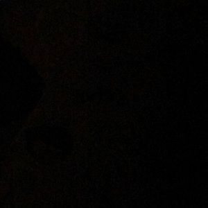 Meet your Posher, Lucy